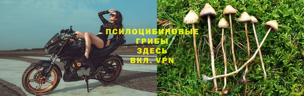 мдпв Балабаново