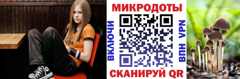 Галлюциногенные грибы Psilocybine cubensis  Кропоткин 